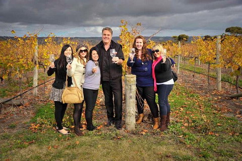 McLaren Vale Winery Small Group Tour With Wine Tasting And Lunch - Accommodation Georgetown 3
