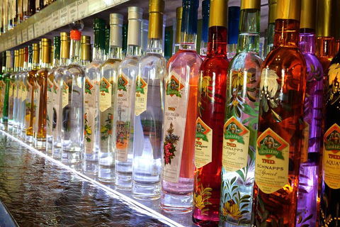 Bar & Brewery Tour - Accommodation Georgetown 4