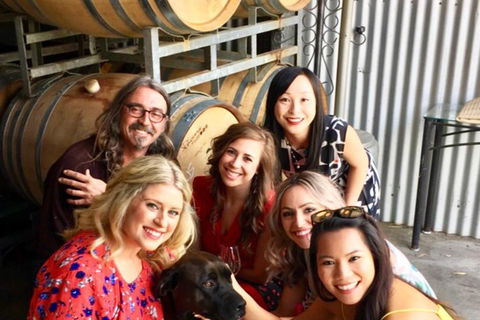 Mclaren Vale Luxury Full Day Small Group Wine Tour - Accommodation Georgetown 1