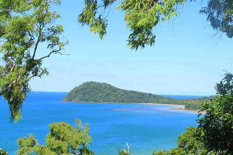 Full Day Tour In The Daintree - Accommodation Georgetown 1