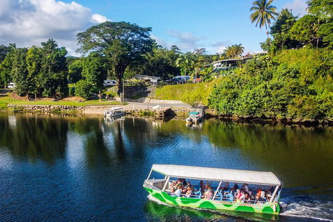 Full Day Tour In The Daintree - Accommodation Georgetown 2