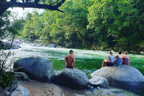 Full Day Tour In The Daintree - Accommodation Georgetown 3