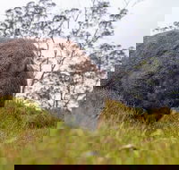 3-Day Cradle Mountain Photography Workshop - Accommodation Georgetown