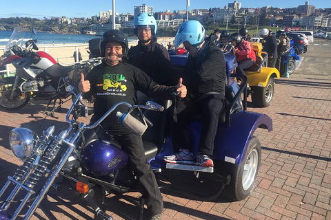 Eastern Sydney Panorama Trike Tour - Accommodation Georgetown 3