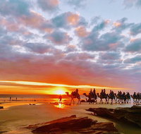 1 Hour Broome Sunset Camel Tour - Accommodation Georgetown