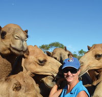 Broome Pre-sunset Camel Tour 30 minutes - Accommodation Georgetown