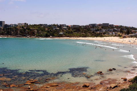 Half Day Manly Beach And More - Accommodation Georgetown 2