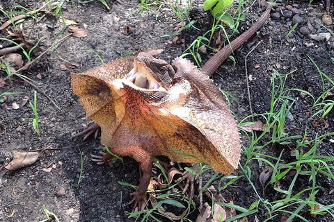 Litchfield National Park And Jumping Crocodile Cruise - Accommodation Georgetown 1