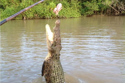 Litchfield National Park And Jumping Crocodile Cruise - Accommodation Georgetown 2