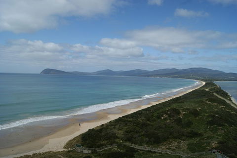 7-Day Best Of Tasmania Adventure Experience From Hobart (flexible Ticket) - Accommodation Georgetown 2
