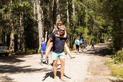 7-Day Best Of Tasmania Adventure Experience From Hobart (flexible Ticket) - Accommodation Georgetown 5