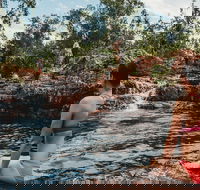 Litchfield National Park Day Tour from Darwin With Waterfalls And Buley Rockhole - Accommodation Georgetown