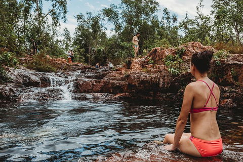 Litchfield National Park Day Tour From Darwin With Waterfalls And Buley Rockhole - Accommodation Georgetown 0