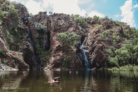 Litchfield National Park Day Tour From Darwin With Waterfalls And Buley Rockhole - Accommodation Georgetown 1
