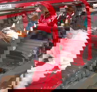 Full-Day Private Blue Mountains Tour with River Cruise - Accommodation Georgetown