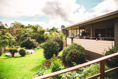 Full-day Springbrook National Park Tour From The Gold Coast - Accommodation Georgetown 2