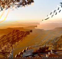 O'Reilly's  Lamington National Park incl. Alpaca Farm  Vineyard - Accommodation Georgetown