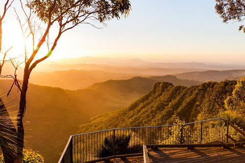 O'Reilly's & Lamington National Park Incl. Alpaca Farm + Vineyard - Accommodation Georgetown 0