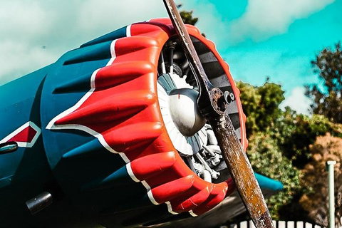 O'Reilly's & Lamington National Park Incl. Alpaca Farm + Vineyard - Accommodation Georgetown 1