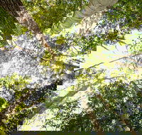 Fraser Island 4WD Tour from Noosa