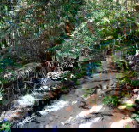 Fraser Island 4WD Tour from Rainbow Beach