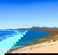 Kayak with Dolphins and 4WD Great Beach Drive Day Trip from Noosa - Accommodation Georgetown