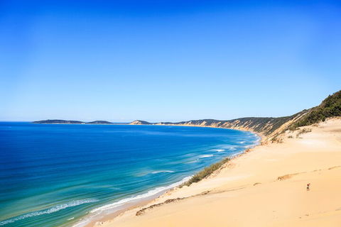 Kayak With Dolphins And 4WD Great Beach Drive Day Trip From Noosa - Accommodation Georgetown 0