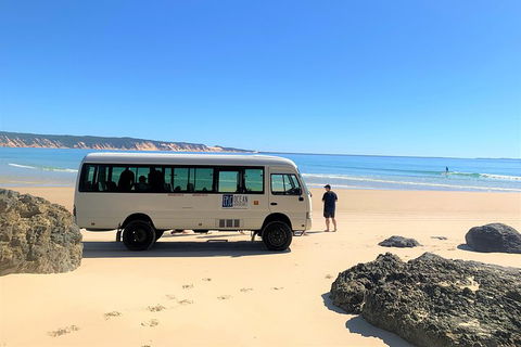Kayak With Dolphins And 4WD Great Beach Drive Day Trip From Noosa - Accommodation Georgetown 4