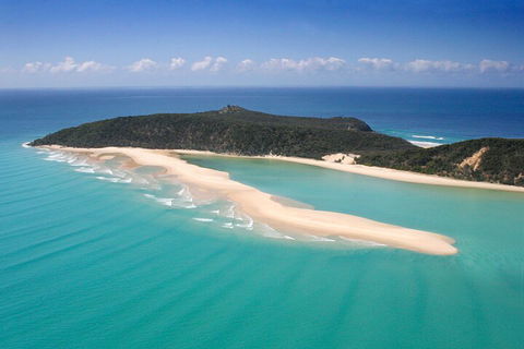 Kayak With Dolphins And 4WD Great Beach Drive Day Trip From Noosa - Accommodation Georgetown 5