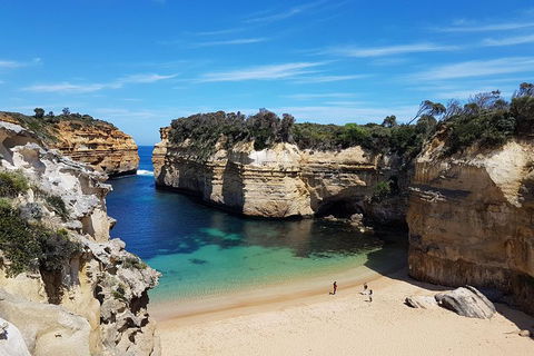 Helicopter Flight + Fine Dining Private Luxury Great Ocean Road Tour - Accommodation Georgetown 1