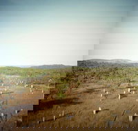 ETHICAL ADVENTURES - Litchfield Region Max 10 guests - Accommodation Georgetown