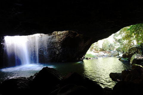 Rainforest & Waterfalls Extravaganza - Accommodation Georgetown 0