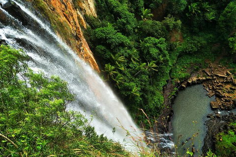 Rainforest & Waterfalls Extravaganza - Accommodation Georgetown 1