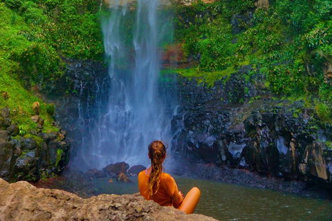 Rainforest & Waterfalls Extravaganza - Accommodation Georgetown 2
