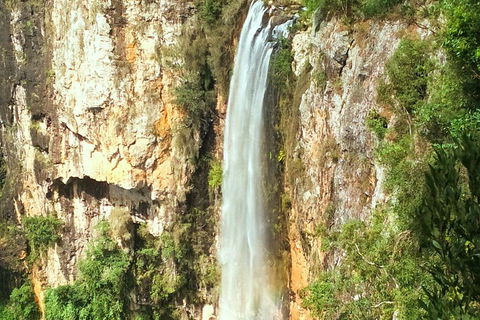 Rainforest & Waterfalls Extravaganza - Accommodation Georgetown 3