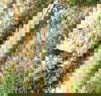 Private Tour - Rainforest  Waterfalls Extravaganza - Accommodation Georgetown