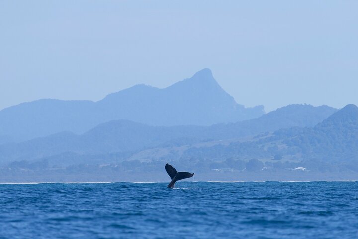  Accommodation Georgetown