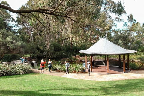 Highlights Of Kings Park - Accommodation Georgetown 1