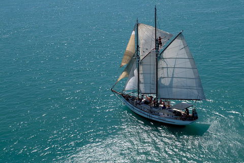 Whitehaven Beach Sailing And Snorkeling Cruise - Accommodation Georgetown 1