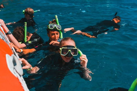 Whitehaven Beach And Hill Inlet Lookout Full-Day Snorkeling Cruise By High-Speed Catamaran - Accommodation Georgetown 3