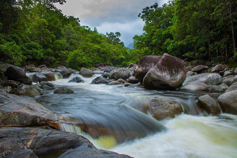 Cape Tribulation Day Tour - Accommodation Georgetown 0
