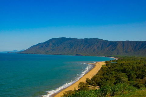 Cape Tribulation Day Tour - Accommodation Georgetown 1