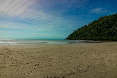 Cape Tribulation Day Tour - Accommodation Georgetown 2