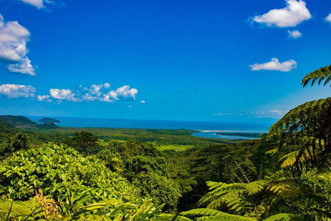 Cape Tribulation Day Tour - Accommodation Georgetown 3
