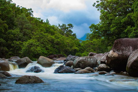Cape Tribulation Day Tour - Accommodation Georgetown 4