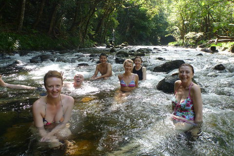 Daintree Rainforest, Cape Tribulation, Mossman Gorge Small-Group Day Tour - Accommodation Georgetown 0