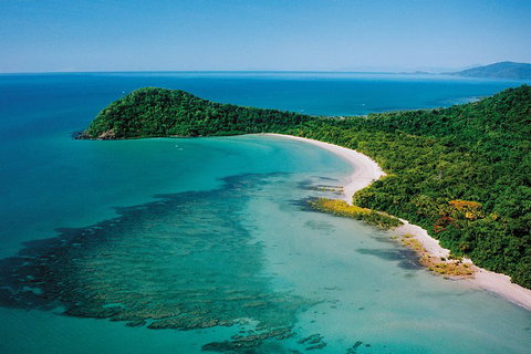 Daintree Rainforest, Cape Tribulation, Mossman Gorge Small-Group Day Tour - Accommodation Georgetown 4