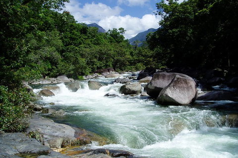 Daintree Rainforest, Cape Tribulation, Mossman Gorge Small-Group Day Tour - Accommodation Georgetown 5