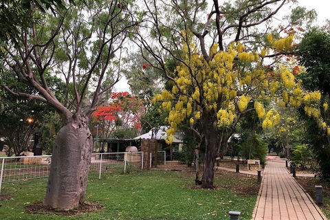 Wet Season Mitchell Falls Tour - Mitchell Falls, Horizontal Falls & Cygnet Bay - Accommodation Georgetown 1