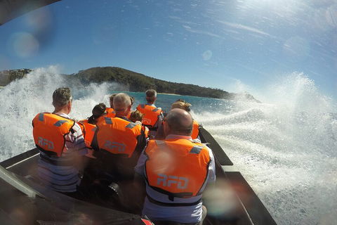 Noosa Thriller - 500hp Ocean Adventure Ride - Accommodation Georgetown 3